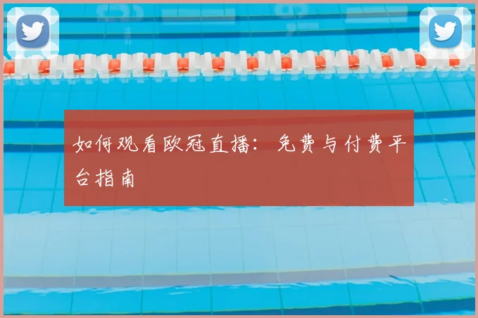 如何观看欧冠直播：免费与付费平台指南